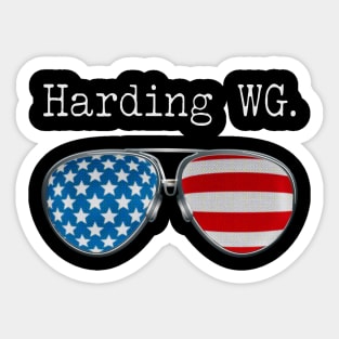 AMERICA PILOT GLASSES HARDING Sticker